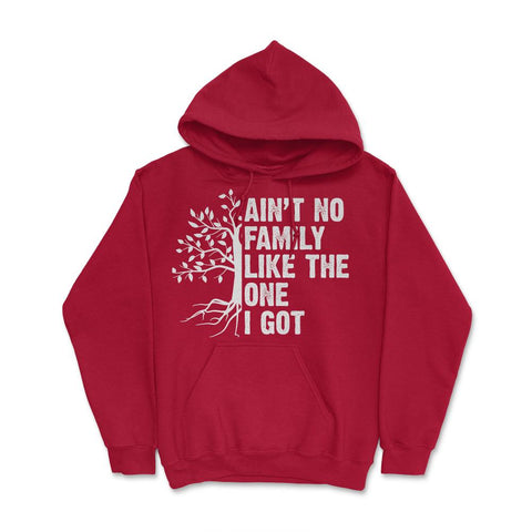 Funny Family Reunion Ain't No Family Like The One I Got product Hoodie - Red