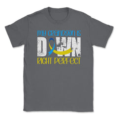 My Grandson is Downright Perfect Down Syndrome Awareness graphic - Smoke Grey