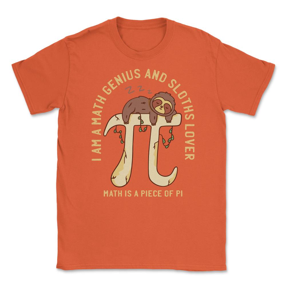 Math Is A Piece of PI Math & Sloth Lover Grunge Style print Unisex