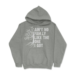 Funny Family Reunion Ain't No Family Like The One I Got product Hoodie - Grey Heather