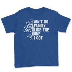 Funny Family Reunion Ain't No Family Like The One I Got product Youth - Royal Blue