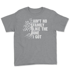 Funny Family Reunion Ain't No Family Like The One I Got product Youth - Grey Heather