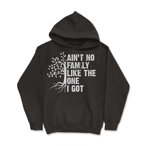 Funny Family Reunion Ain't No Family Like The One I Got product Hoodie - Black