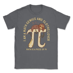 Math Is A Piece of PI Math & Sloth Lover Grunge Style print Unisex