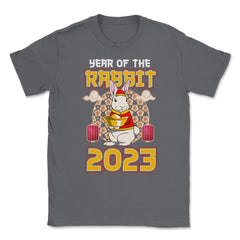Chinese Year of Rabbit 2023 Chinese Aesthetic design Unisex T-Shirt - Smoke Grey