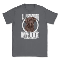 All I do care about is my Labrador Retriever T-Shirt Tee Gifts Shirt - Smoke Grey