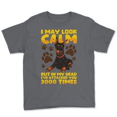 I May Look Calm But In My Head Doberman Pinscher Dog print Youth Tee - Smoke Grey