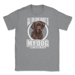 All I do care about is my Labrador Retriever T-Shirt Tee Gifts Shirt - Grey Heather