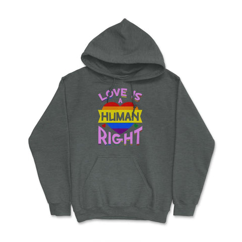 Love Is A Human Right Gay Pride LGBTQ Rainbow Flag design Hoodie - Dark Grey Heather