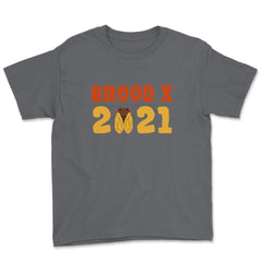 Cicada Brood X 2021 Reemergence Theme Design graphic Youth Tee - Smoke Grey
