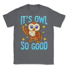 Its Owl Good Funny Humor graphic Unisex T-Shirt - Smoke Grey